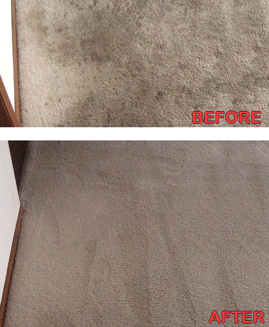 Carpet Before And After
